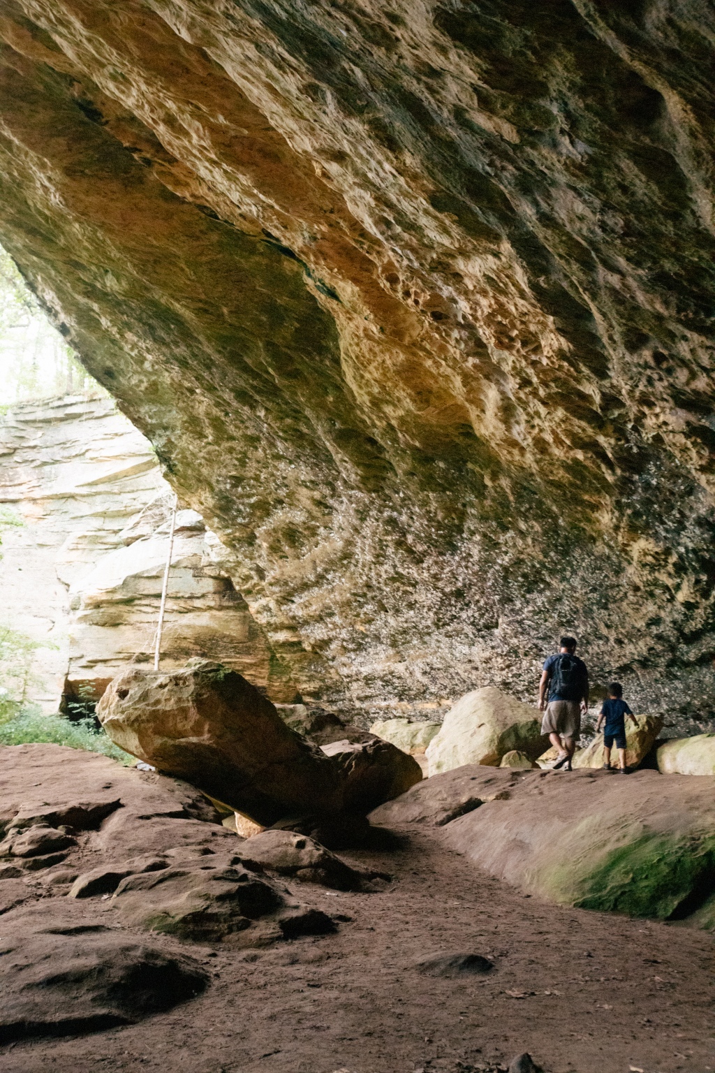 Find the Largest Bluff Shelter in Southern Illinois