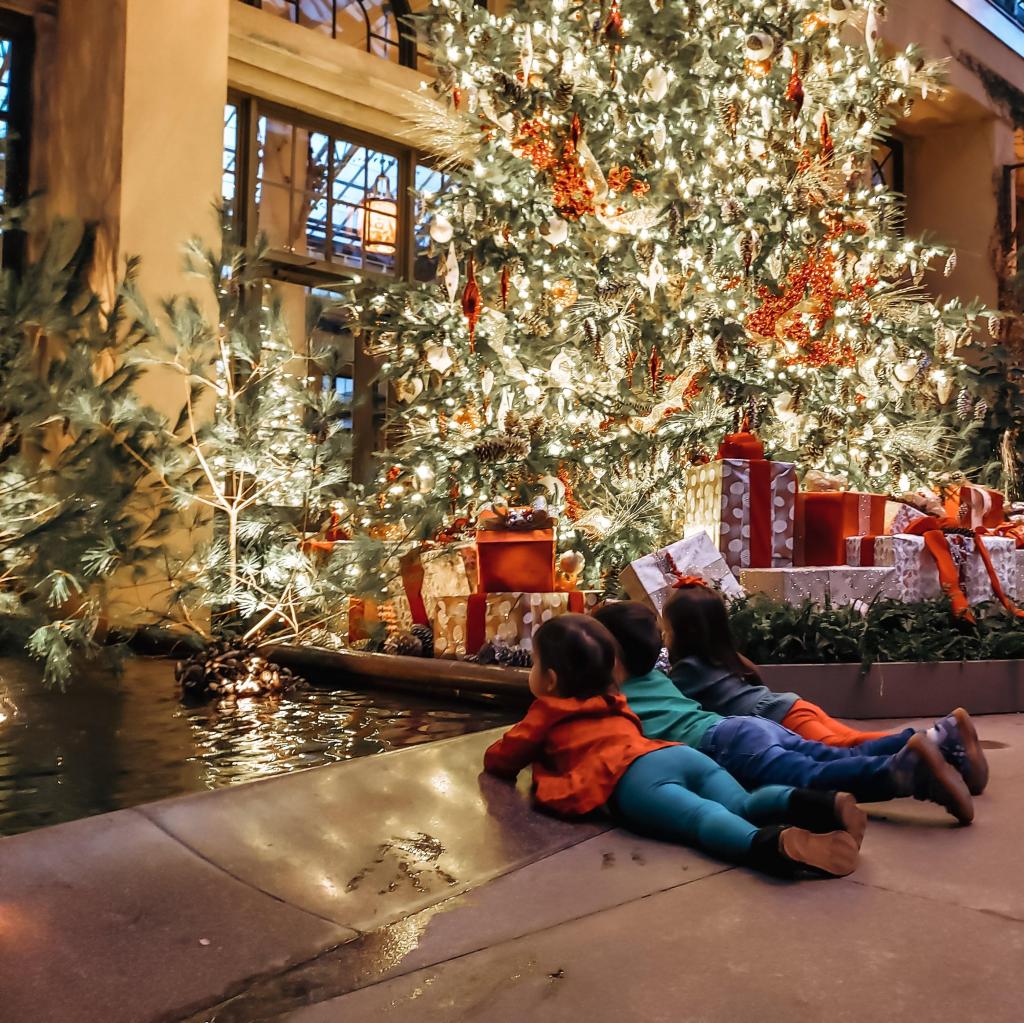 See Epic Light Display at Longwood Gardens