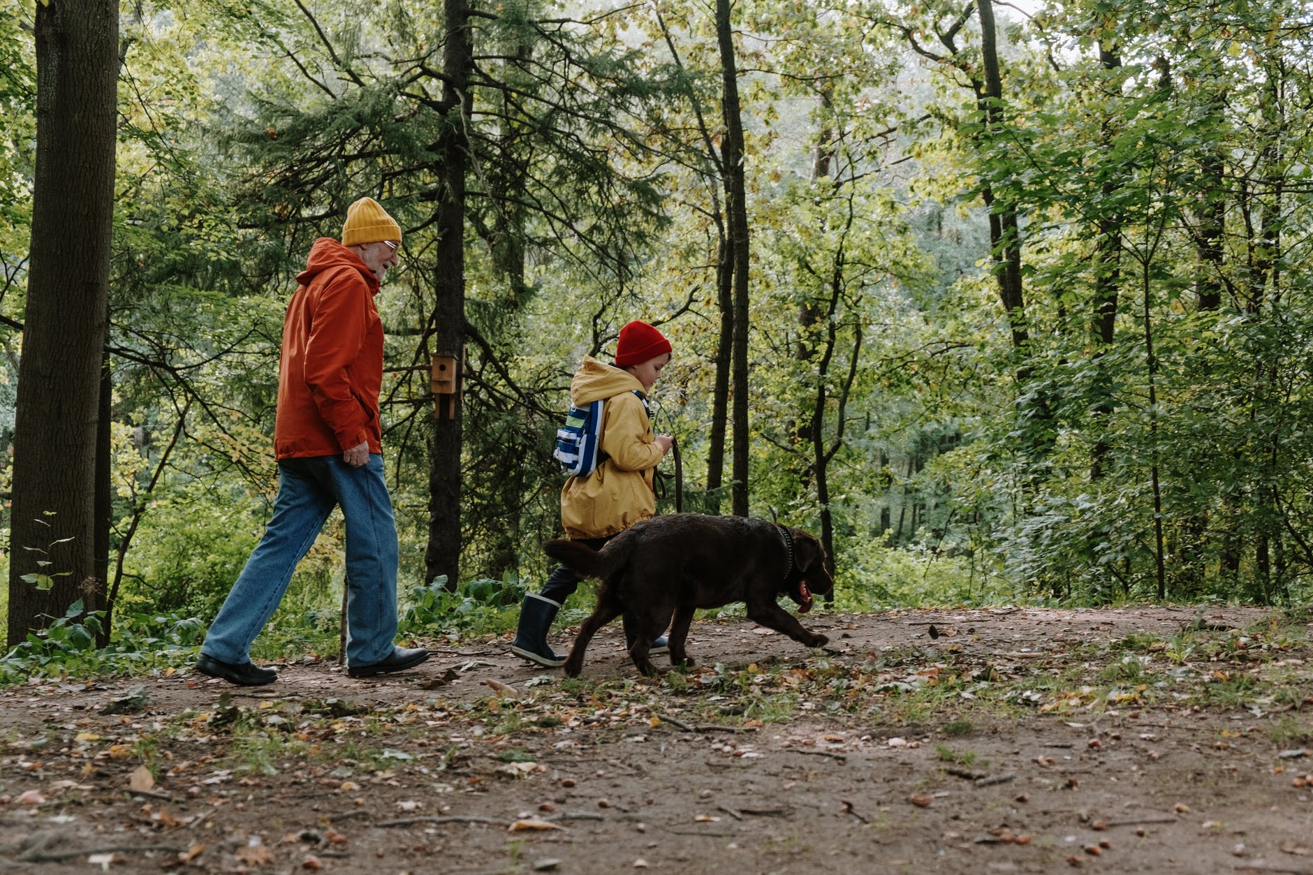 an elderly man hiking in the forest with his grandson and pet dog