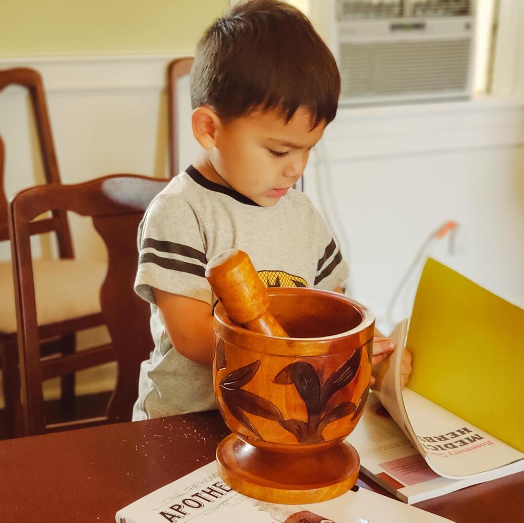 Everything You Need to Know About Homeschool Day at Lee-Fendall House Museum